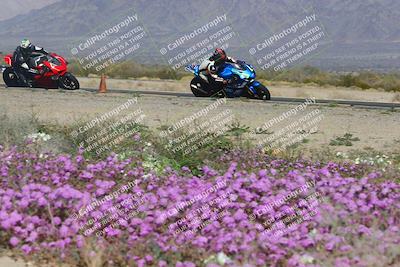 media/Feb-04-2023-SoCal Trackdays (Sat) [[8a776bf2c3]]/Turn 15 Inside Blooming (1050am)/